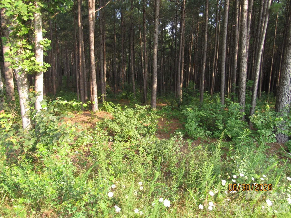 00 Church Road #Lot 14 Taylorsville, NC 28681