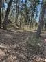 310 Private Road 8570 Winnsboro, TX 75494