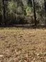310 Private Road 8570 Winnsboro, TX 75494