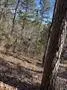 310 Private Road 8570 Winnsboro, TX 75494