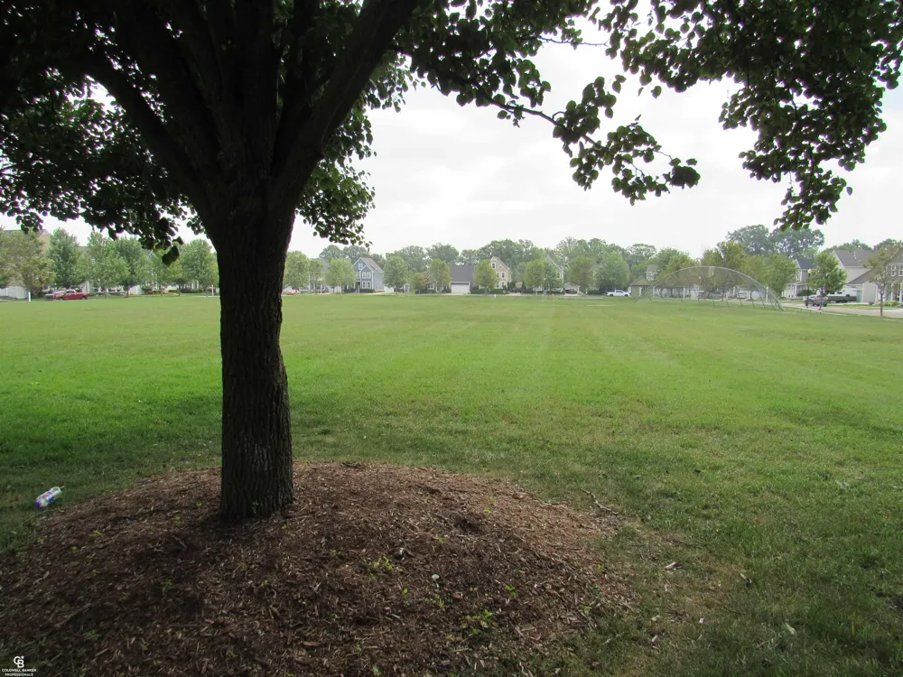 59203 E Brockton St Street New Haven Village, MI 48048