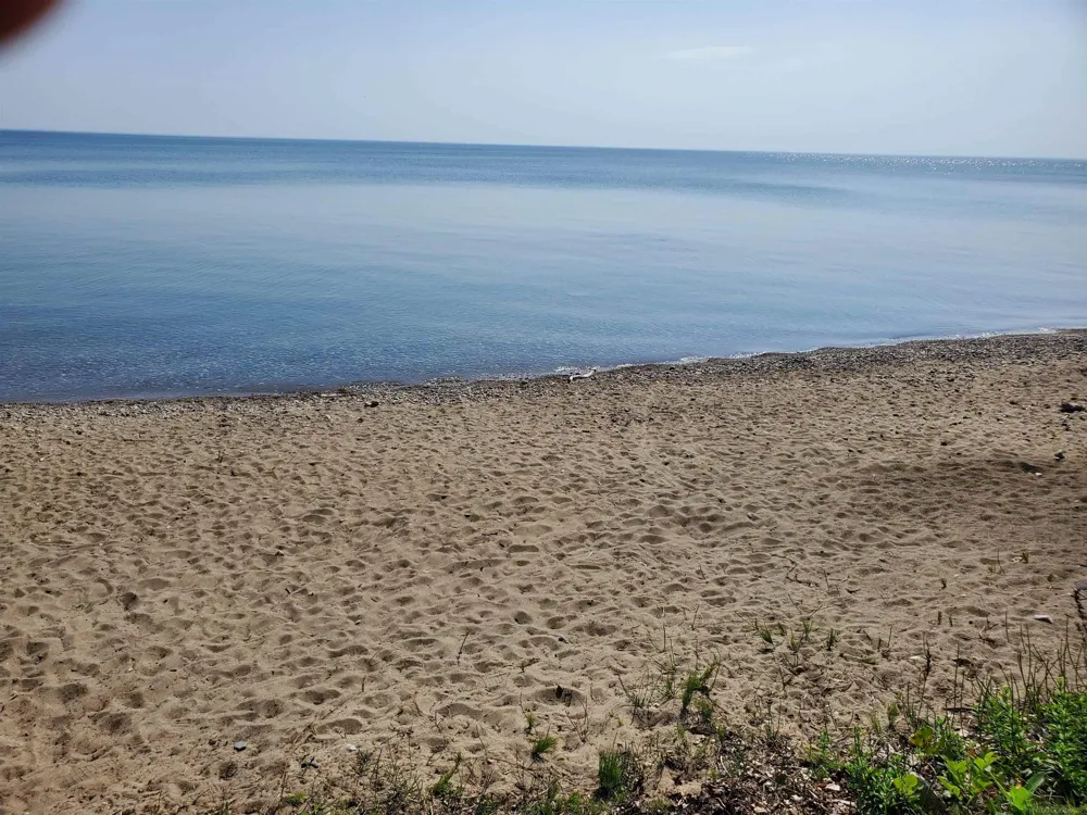 7643 Freidt Avenue Worth Township, MI 48450