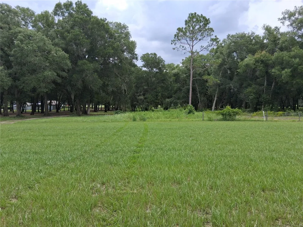 GRASS ROOTS ROAD Groveland, FL 34736