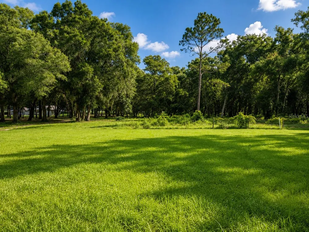 GRASS ROOTS ROAD Groveland, FL 34736