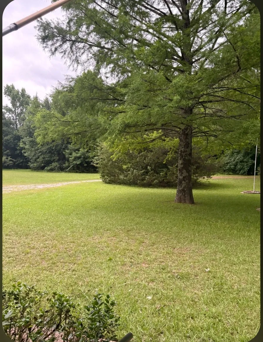 741 VZ County Road 4134 Canton, TX 75103