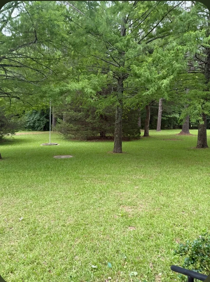 741 VZ County Road 4134 Canton, TX 75103