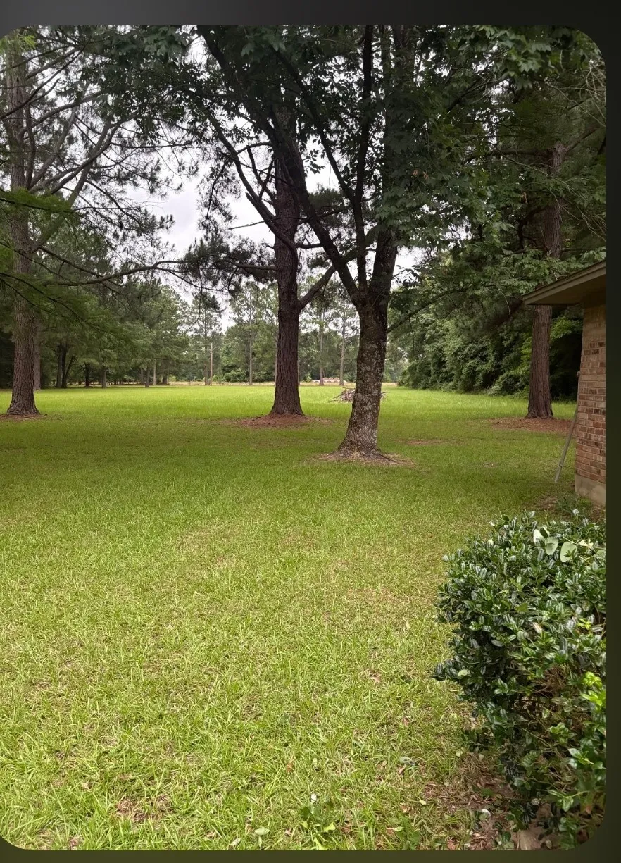 741 VZ County Road 4134 Canton, TX 75103