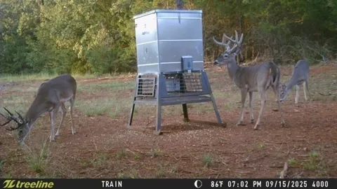16092 County Road 440 #Tract 1