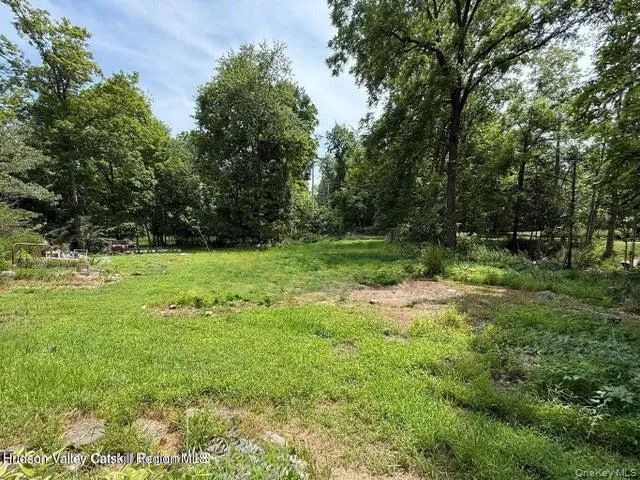 546 Berme Road High Falls, NY 12440