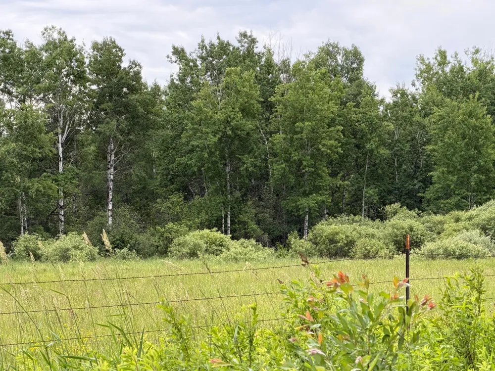 TBD Highway 65 Nashwauk, MN 55769