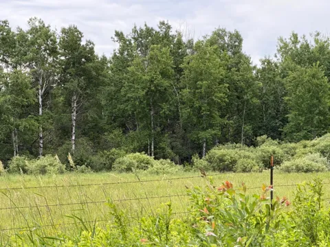 TBD Highway 65