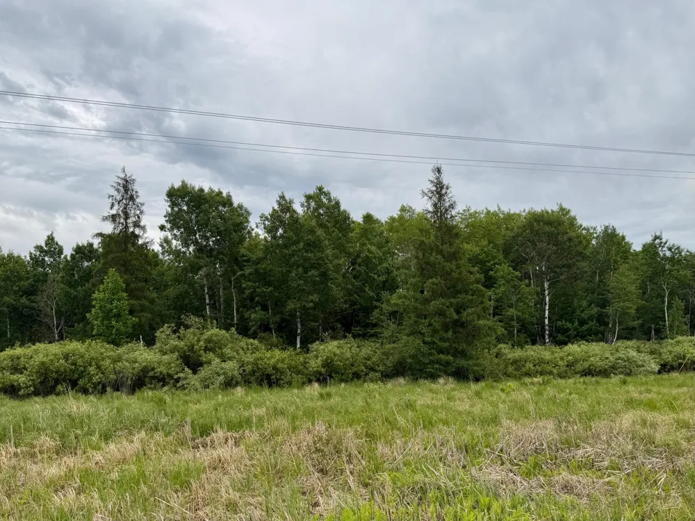 TBD Highway 65 Nashwauk, MN 55769