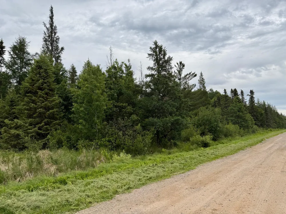 TBD Highway 65 Nashwauk, MN 55769