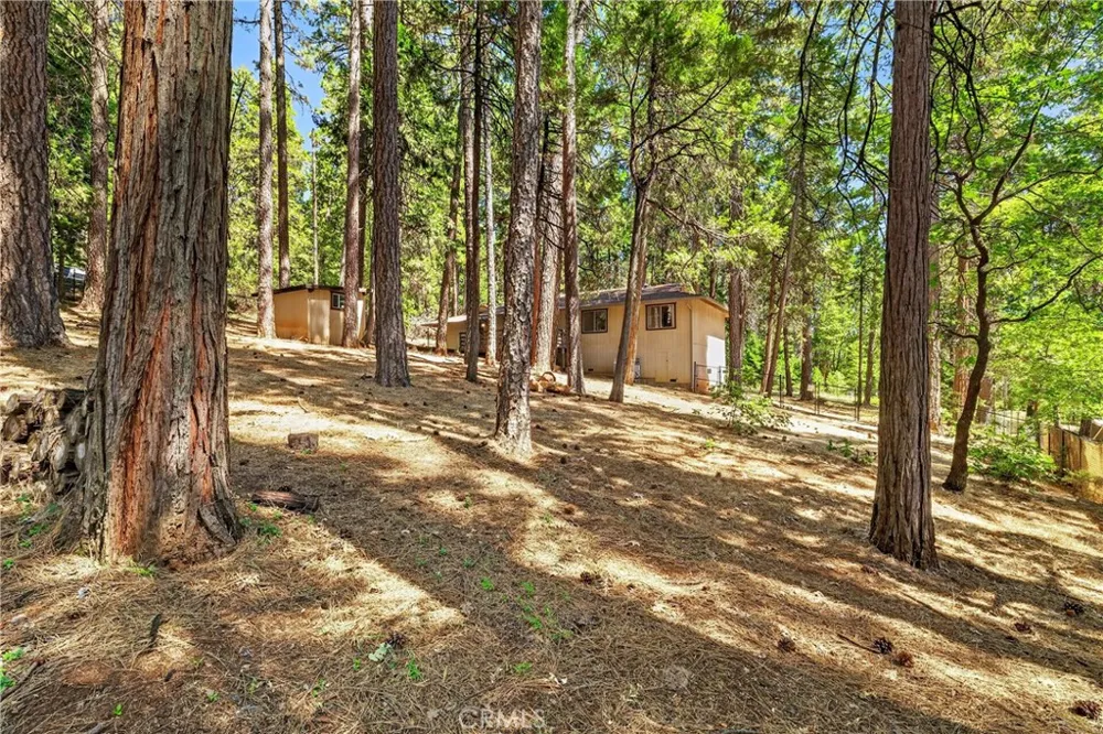 15383 Forest Ranch Forest Ranch, CA 95942