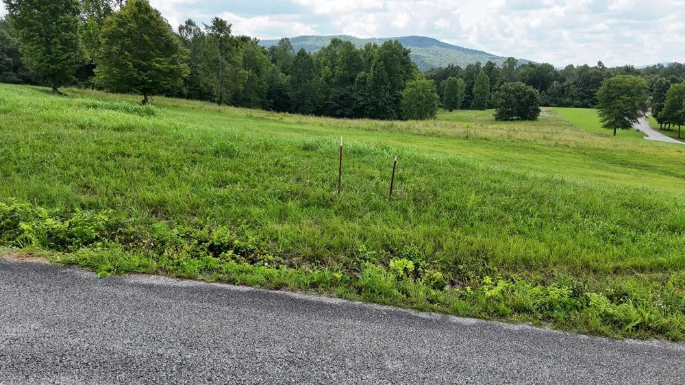 0 Collins Run Mc Minnville, TN 37110