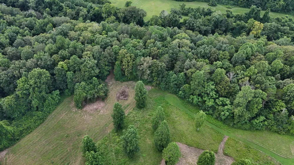 0 Collins Run Mc Minnville, TN 37110