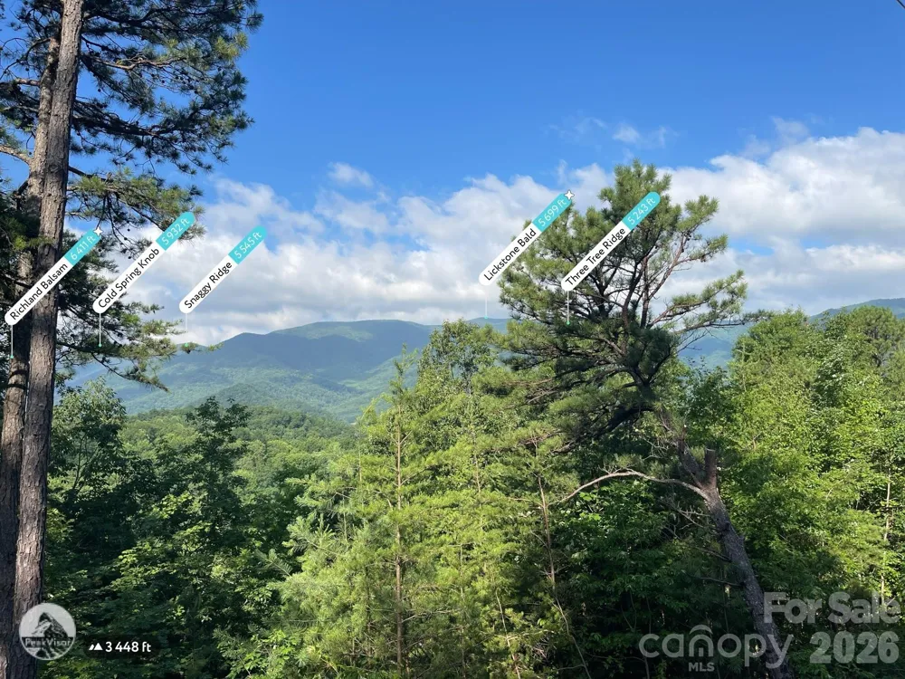 225 Lucerne Drive Canton, NC 28716