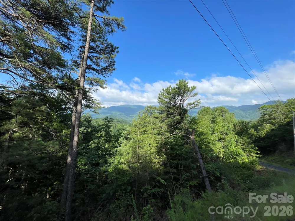 225 Lucerne Drive Canton, NC 28716