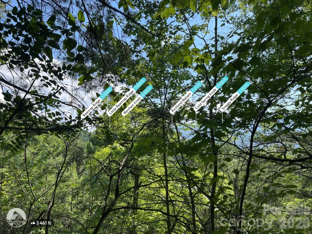 225 Lucerne Drive Canton, NC 28716
