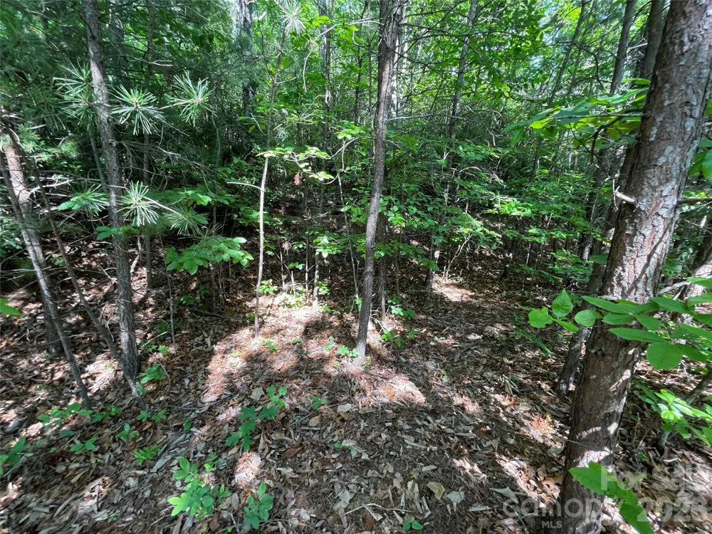 225 Lucerne Drive Canton, NC 28716