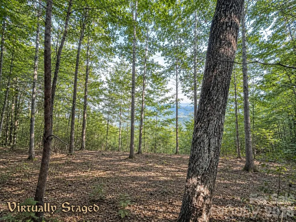 225 Lucerne Drive Canton, NC 28716