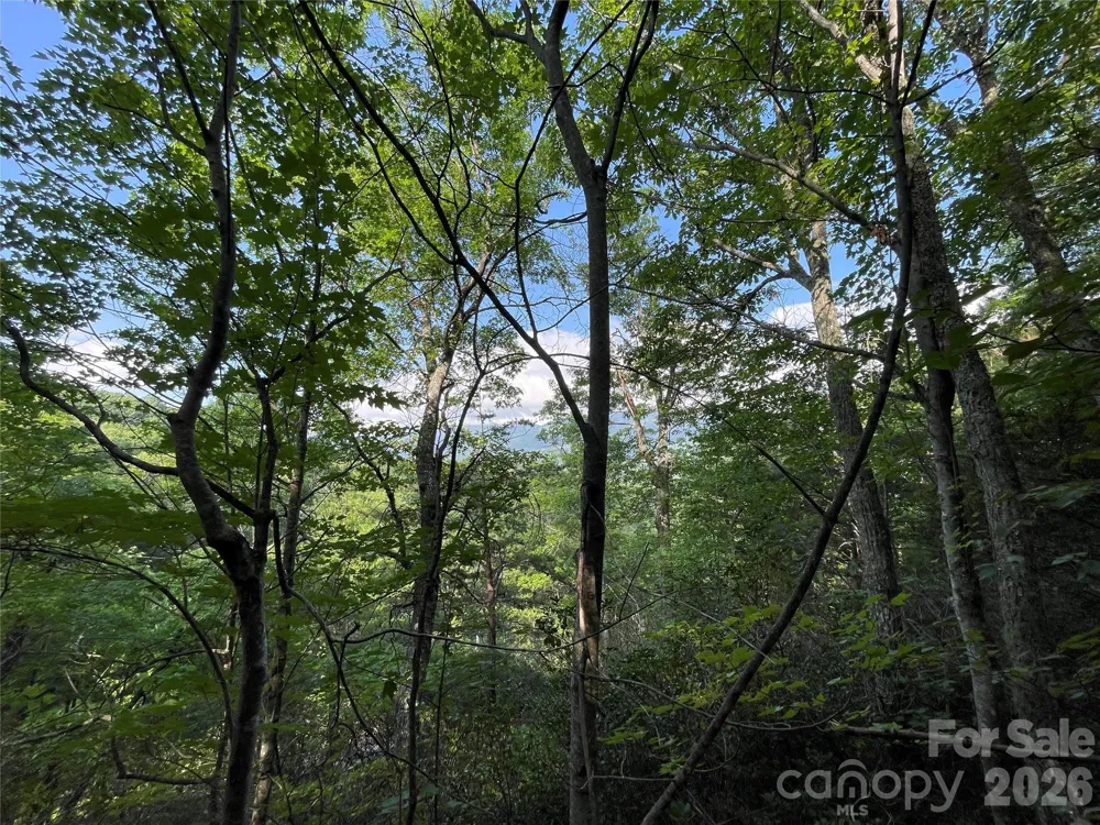 225 Lucerne Drive Canton, NC 28716