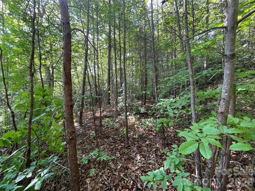 225 Lucerne Drive Canton, NC 28716