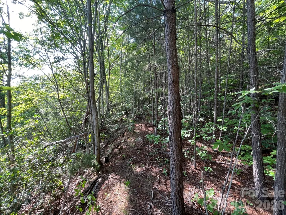 225 Lucerne Drive Canton, NC 28716