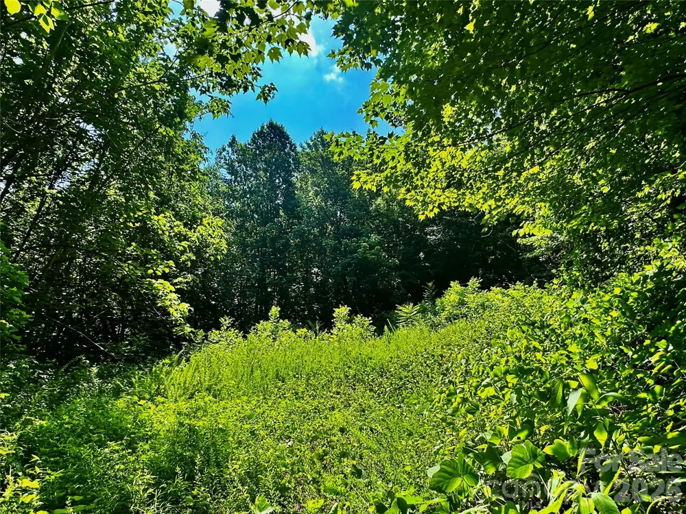 75 Fork Creek Road Saluda, NC 28773
