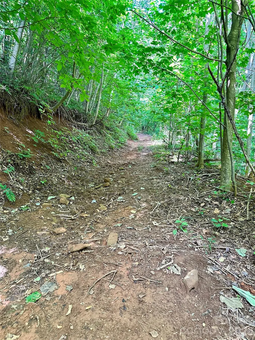 75 Fork Creek Road Saluda, NC 28773