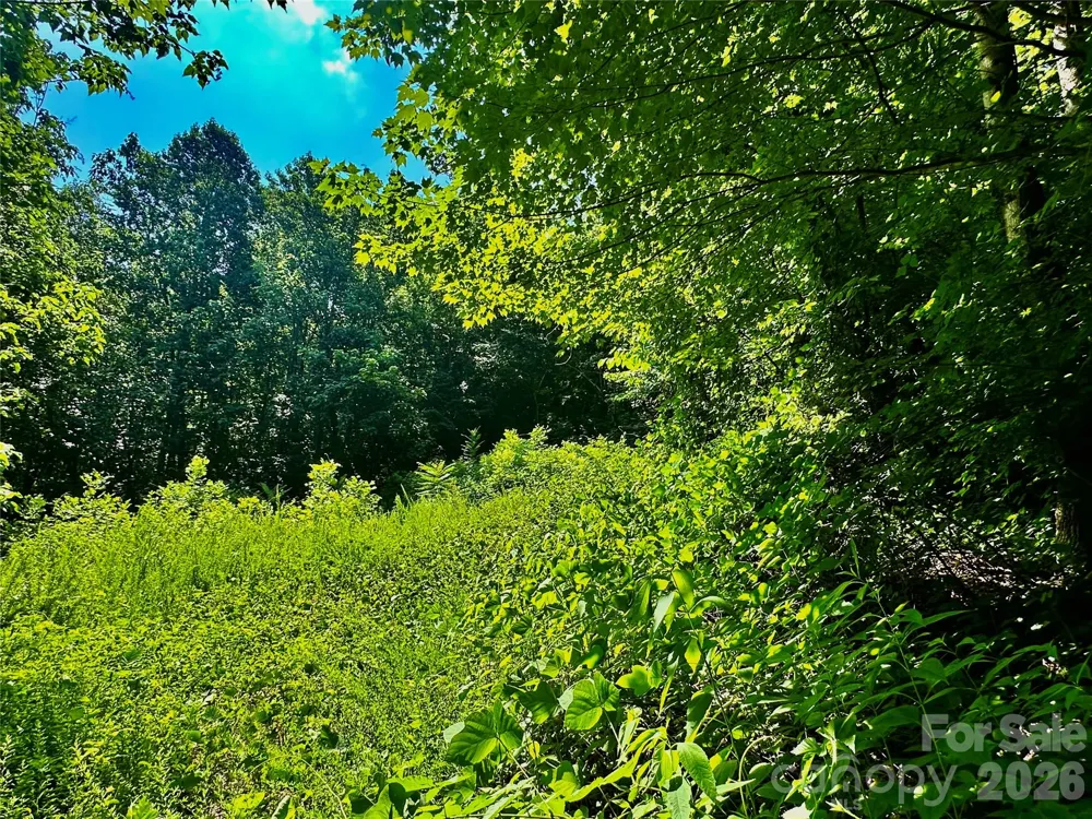 75 Fork Creek Road Saluda, NC 28773