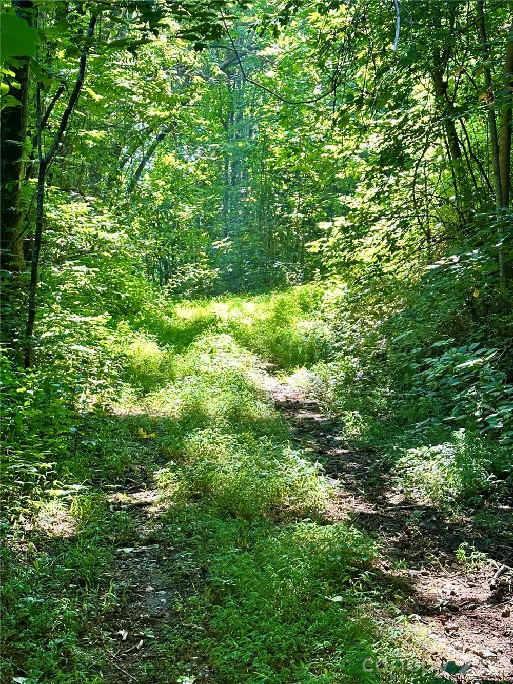 75 Fork Creek Road Saluda, NC 28773