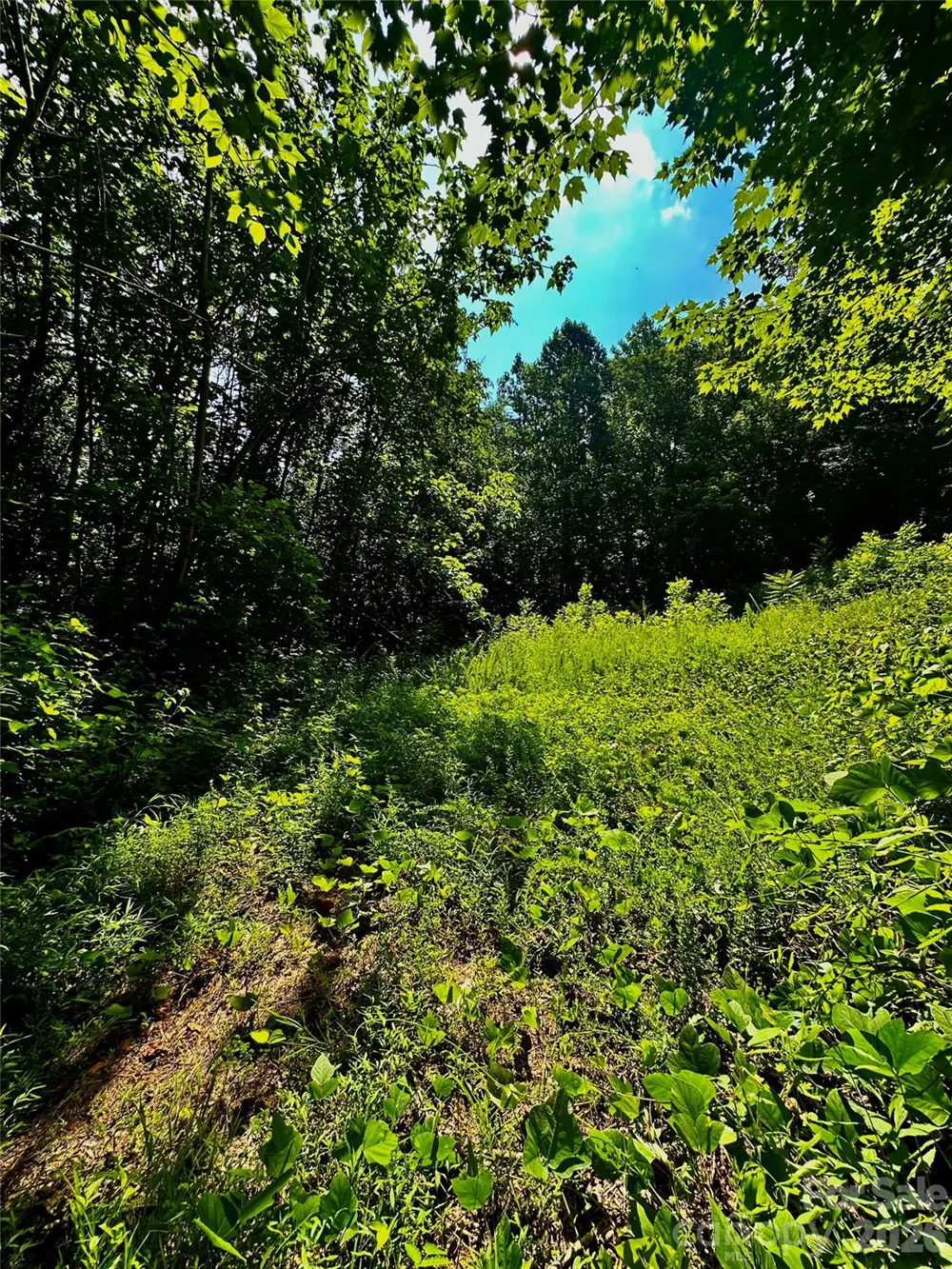 75 Fork Creek Road Saluda, NC 28773