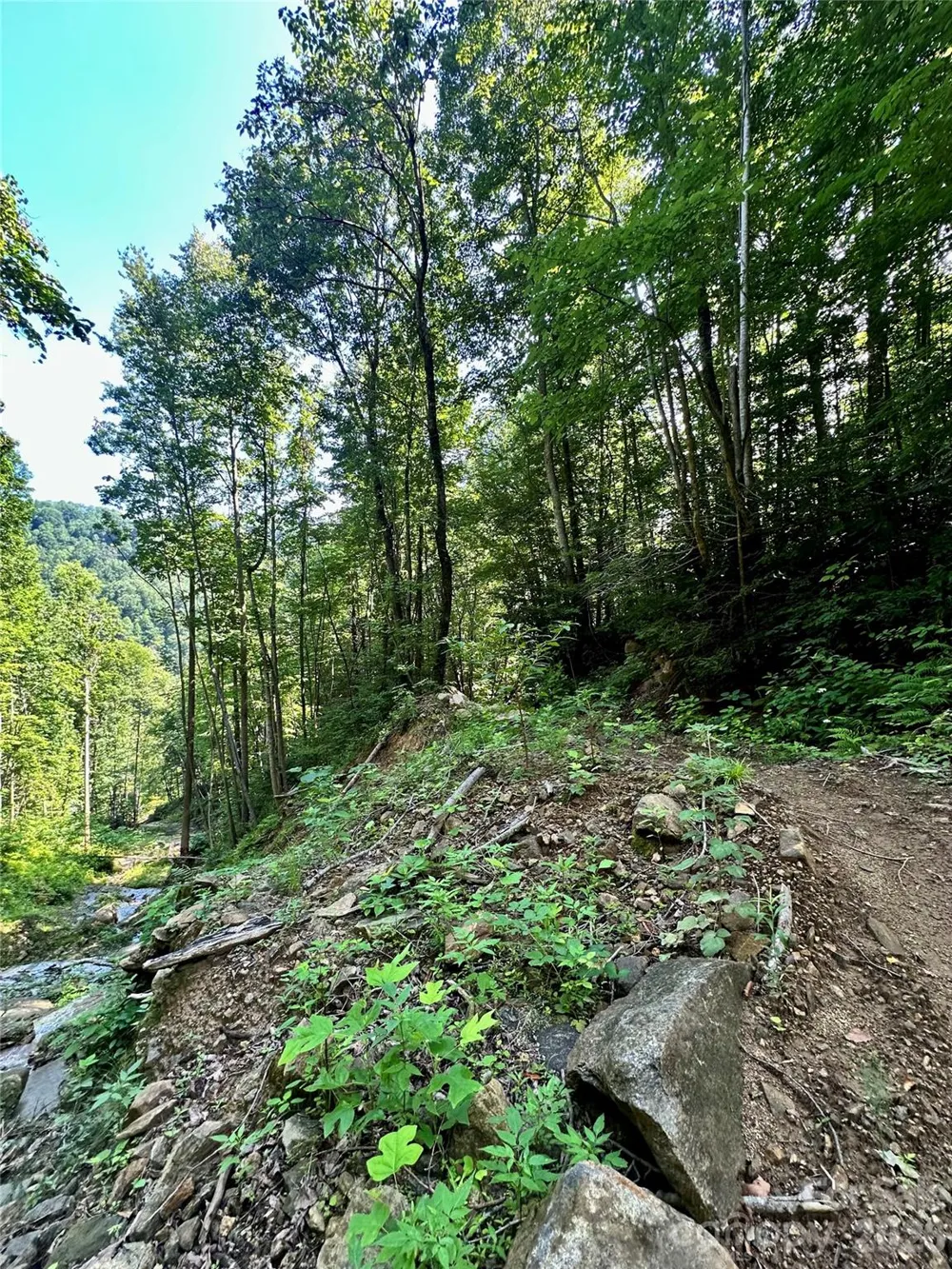 75 Fork Creek Road Saluda, NC 28773
