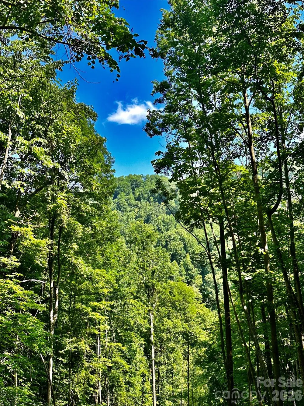 75 Fork Creek Road Saluda, NC 28773