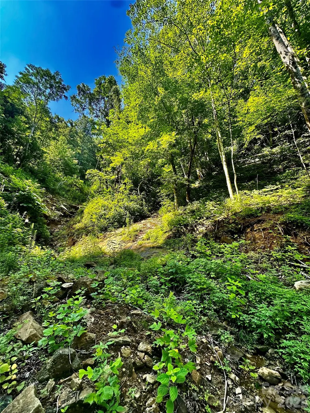 75 Fork Creek Road Saluda, NC 28773