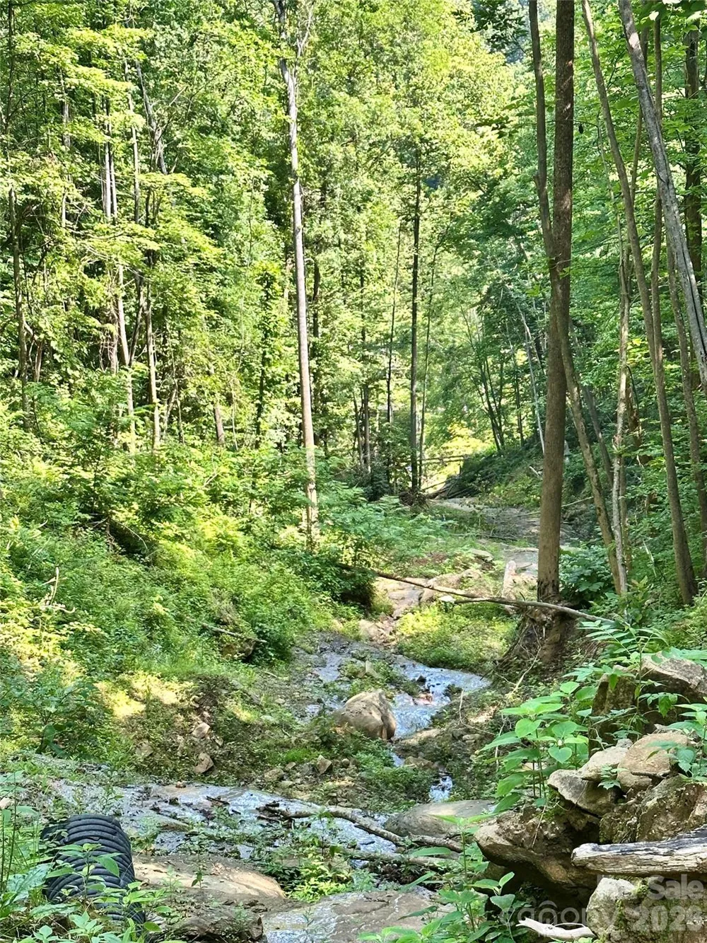 75 Fork Creek Road Saluda, NC 28773