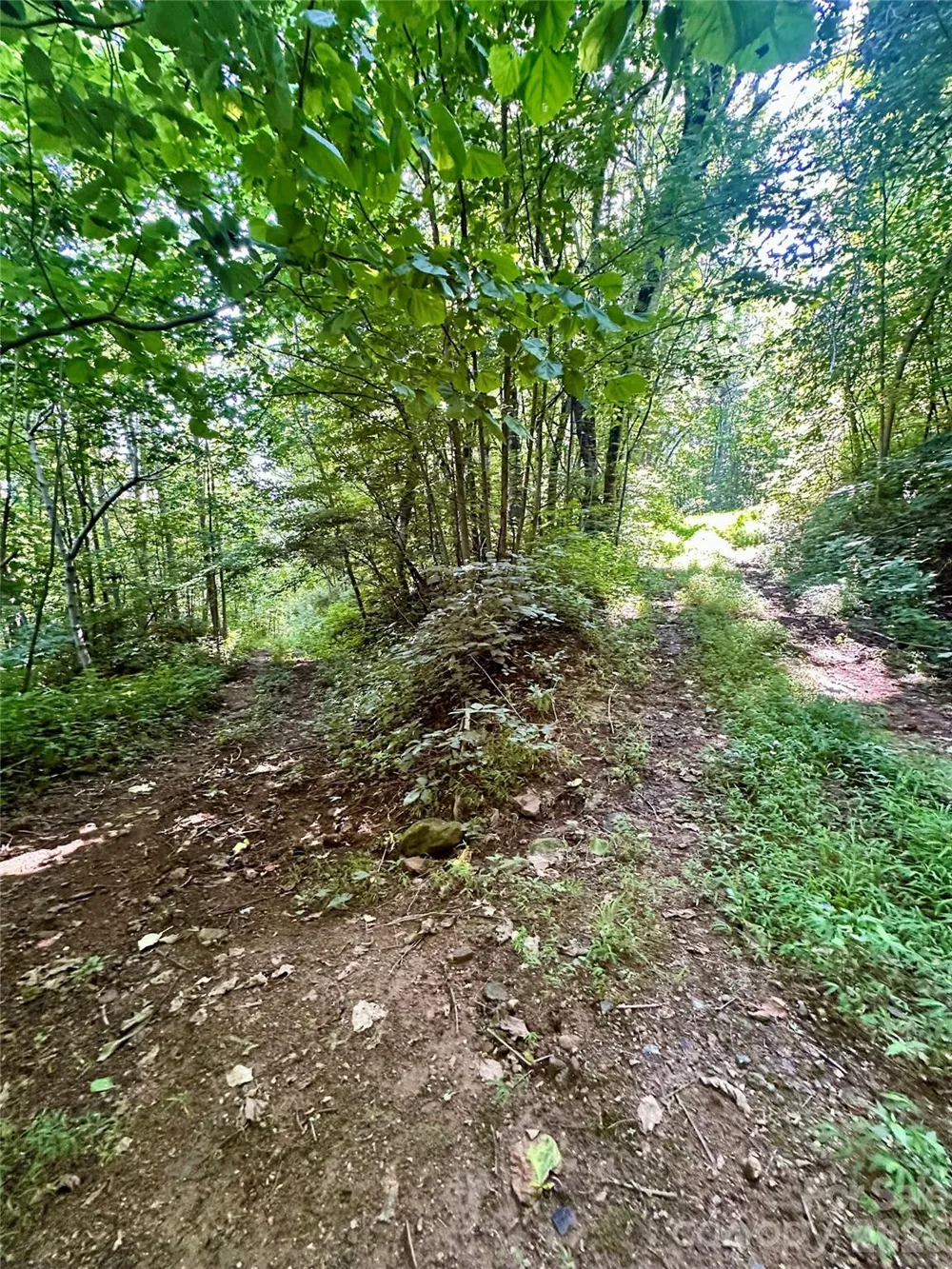 75 Fork Creek Road Saluda, NC 28773