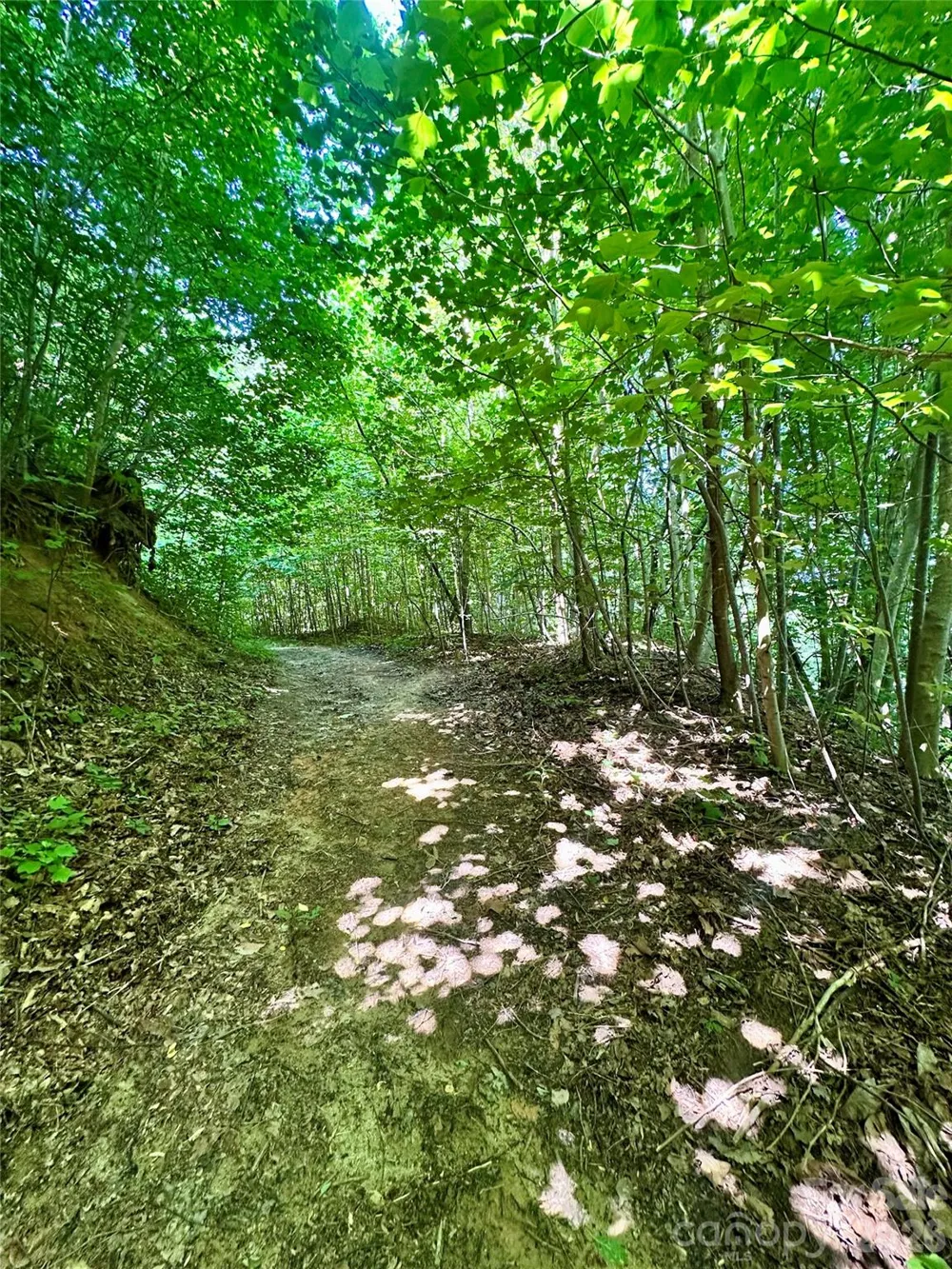 75 Fork Creek Road Saluda, NC 28773