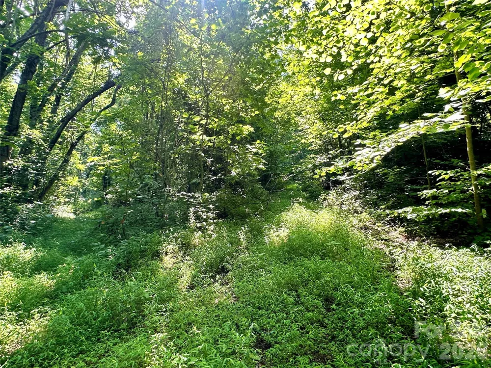 75 Fork Creek Road Saluda, NC 28773