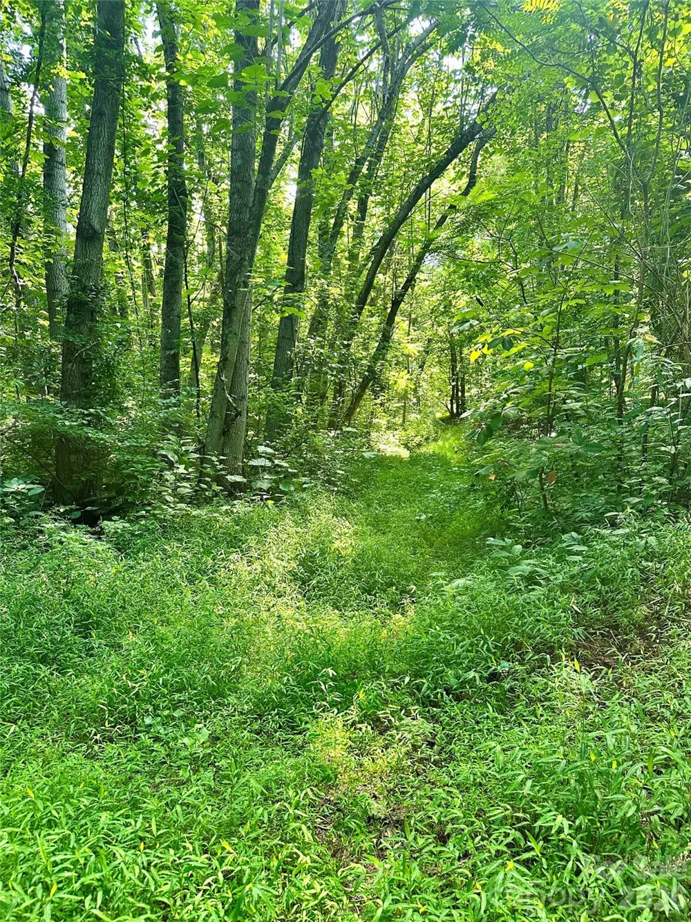 75 Fork Creek Road Saluda, NC 28773