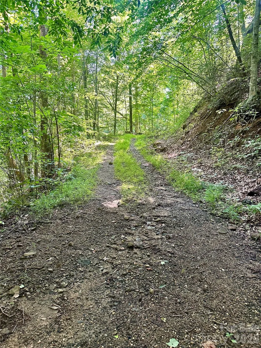 75 Fork Creek Road Saluda, NC 28773
