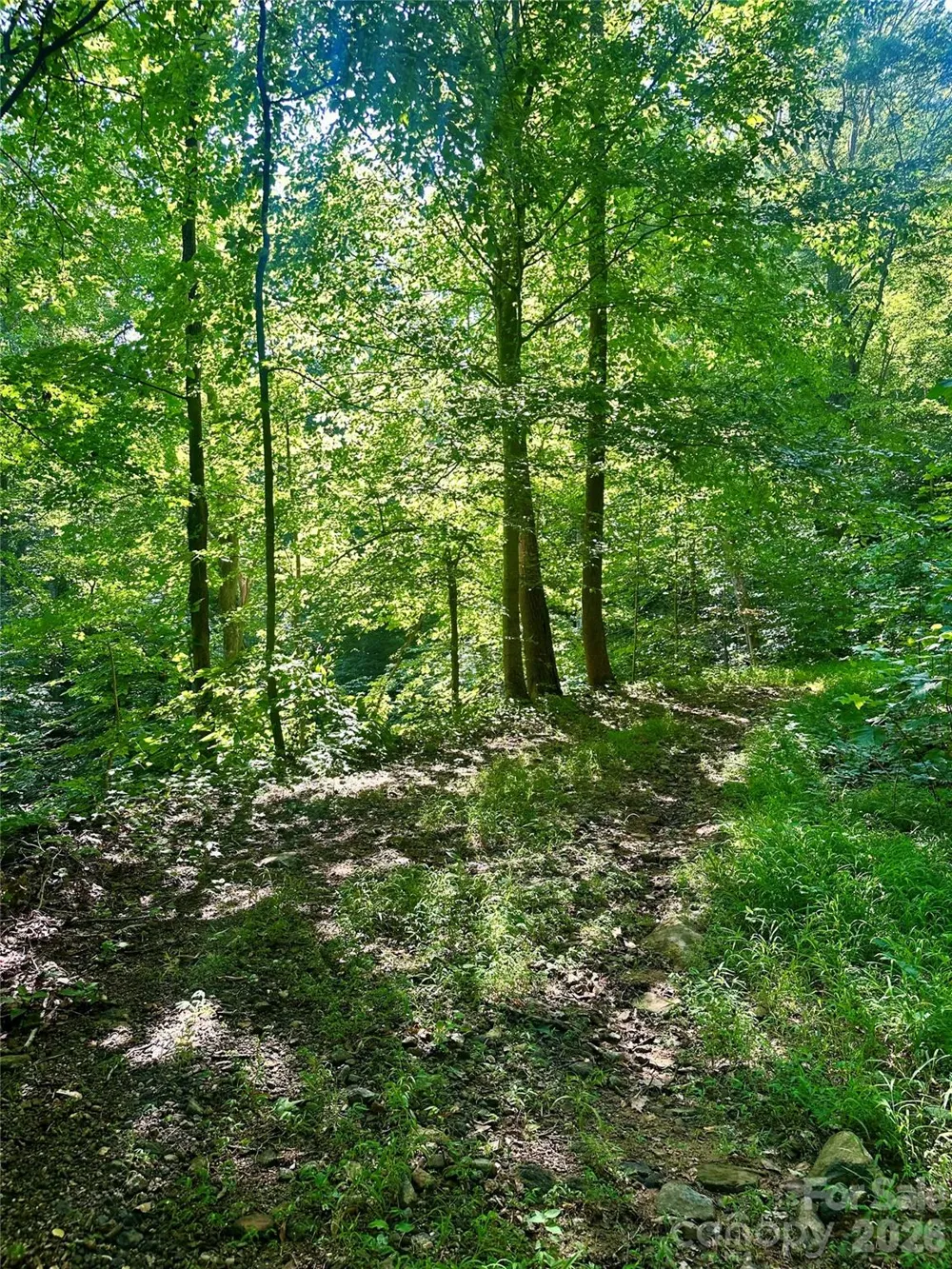75 Fork Creek Road Saluda, NC 28773