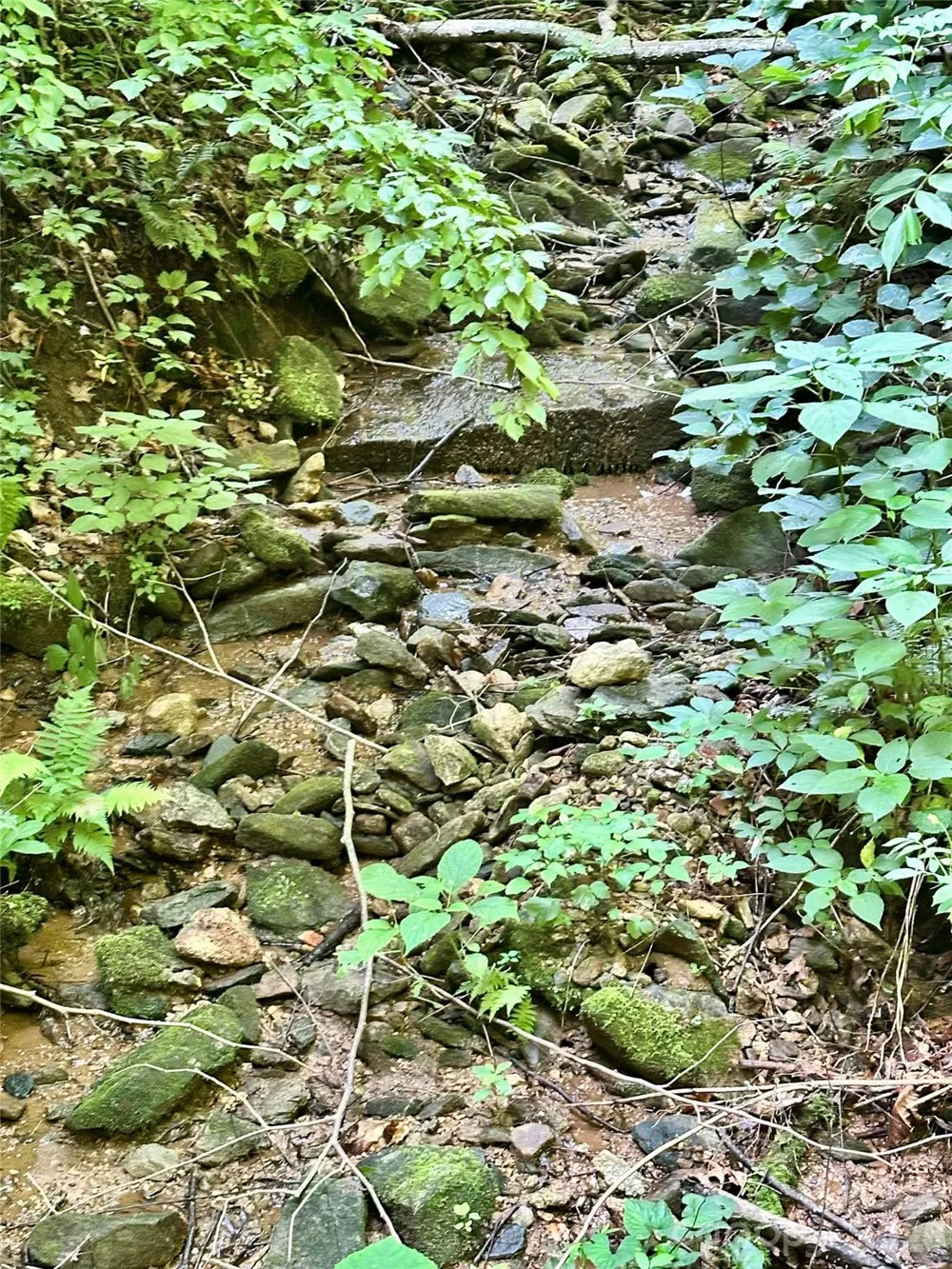75 Fork Creek Road Saluda, NC 28773