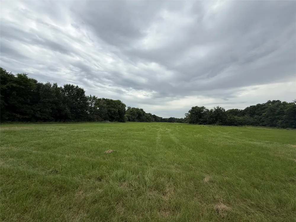 Co Rd 313 Terrell, TX 75161