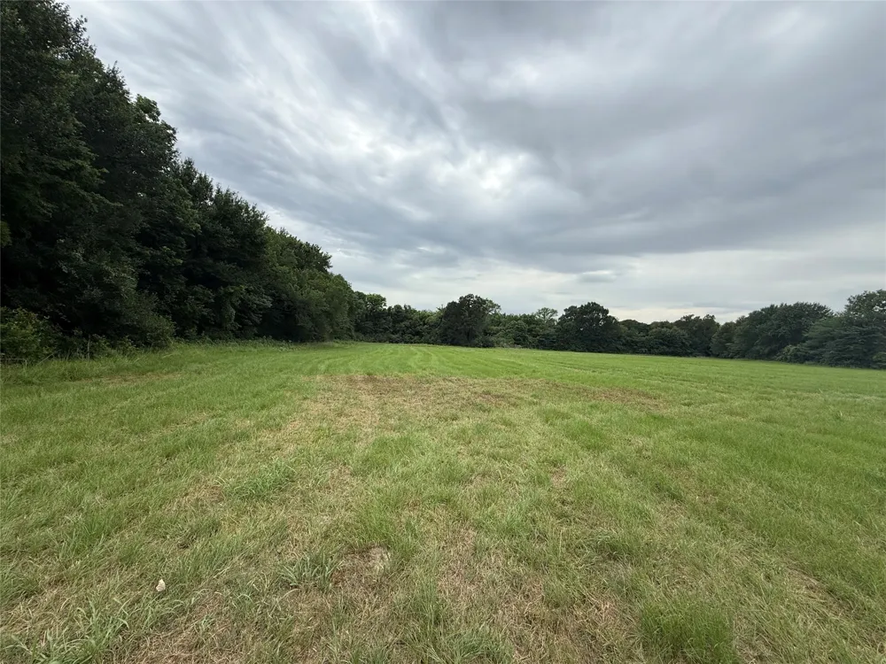 Co Rd 313 Terrell, TX 75161
