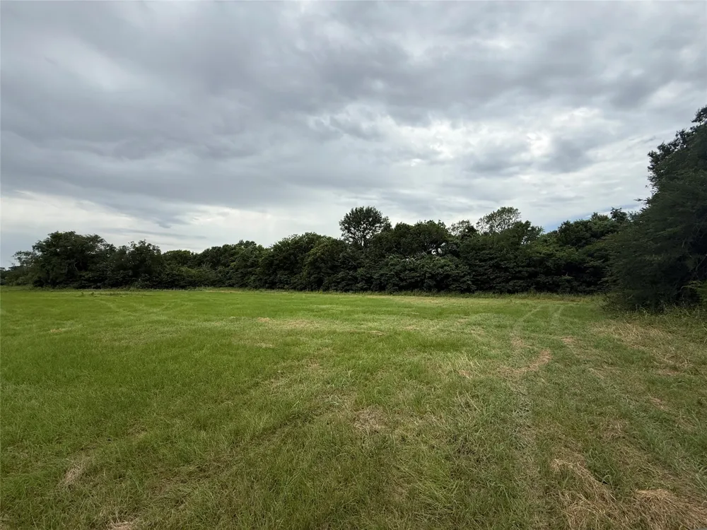 Co Rd 313 Terrell, TX 75161