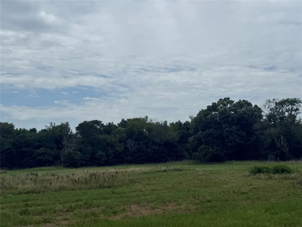 Co Rd 313 Terrell, TX 75161