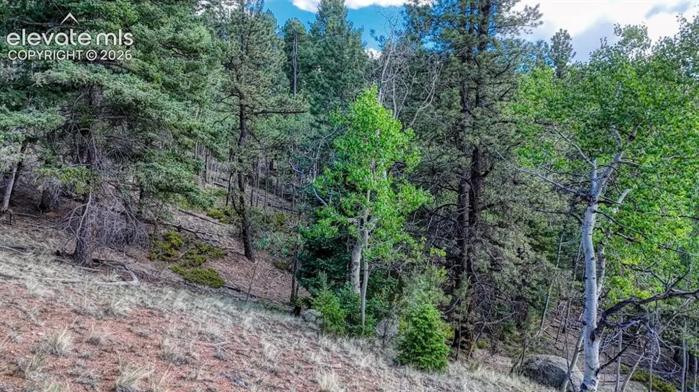 783 Bennett Drive Cripple Creek, CO 80813