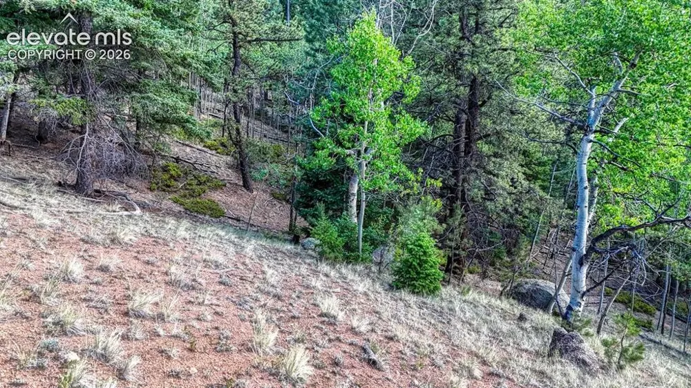 783 Bennett Drive Cripple Creek, CO 80813
